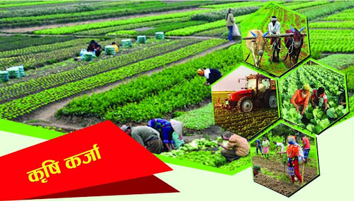 कृषि तथा हस्तकला व्यवसायले १ करोडसम्म बेसरेटमा थप २% ब्याजदरमै कर्जा पाउने