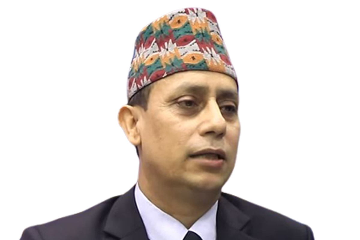 अर्थमन्त्री जनार्दन शर्माको विज्ञ सल्लाहकारमा  डा. शालिकराम पोखरेल नियुक्त