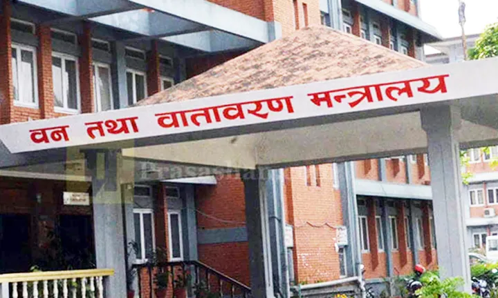 प्लास्टिकजन्य फूलगुच्छा र माला बिक्री गरे एक लाखसम्म जरिवाना