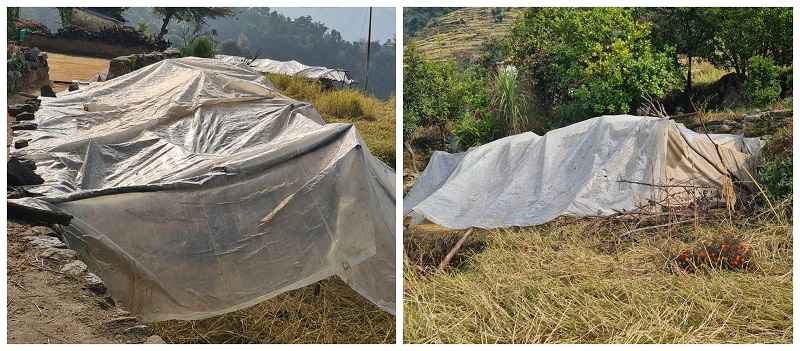 भूकम्प पीडितलाई राहत नपुग्दा खुला चौरमा रात बिताउन बाध्य
