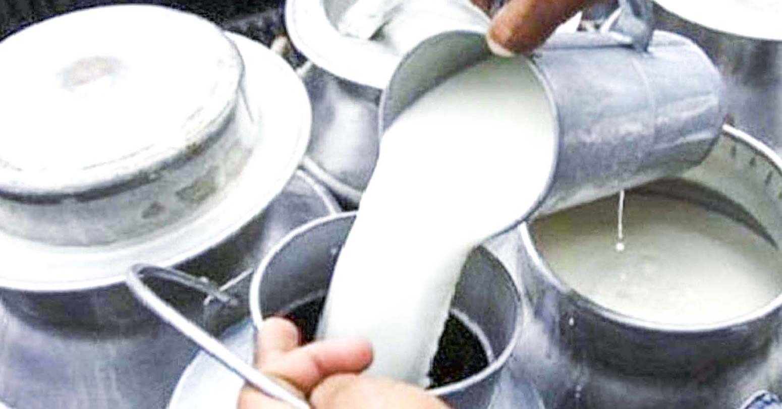 डेरी व्यवसायीले गरे दूधको मूल्यवृद्धि फिर्ता