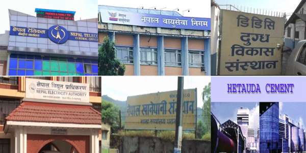 सरकारी संस्थान को कति नाफामा, को कति घाटामा?