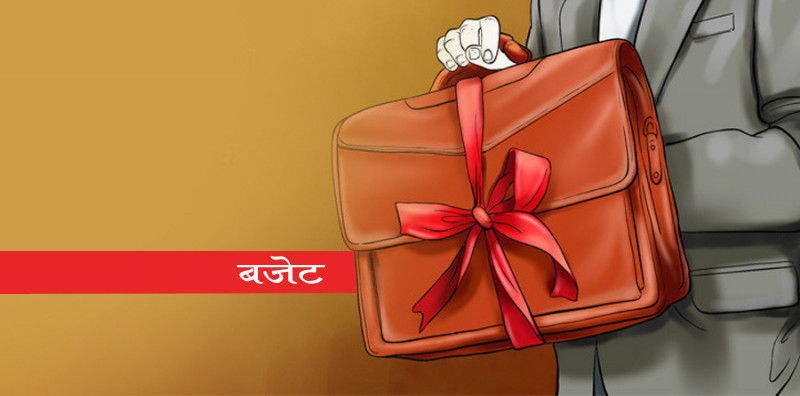 देशभरका स्थानीय तहले आज बजेट सार्वजनिक गर्दै