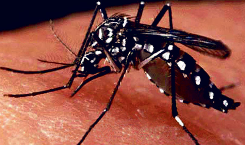 डेंगु नियन्त्रणका लागि ‘बीटीआई’ कसरी प्रयोग गर्ने कति मात्रामा प्रयोग गर्ने?
