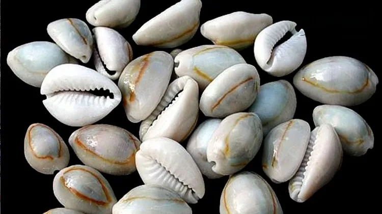 भुलेर पनि नराख्नुहोस् यी वस्तुलाई भुइँमा
