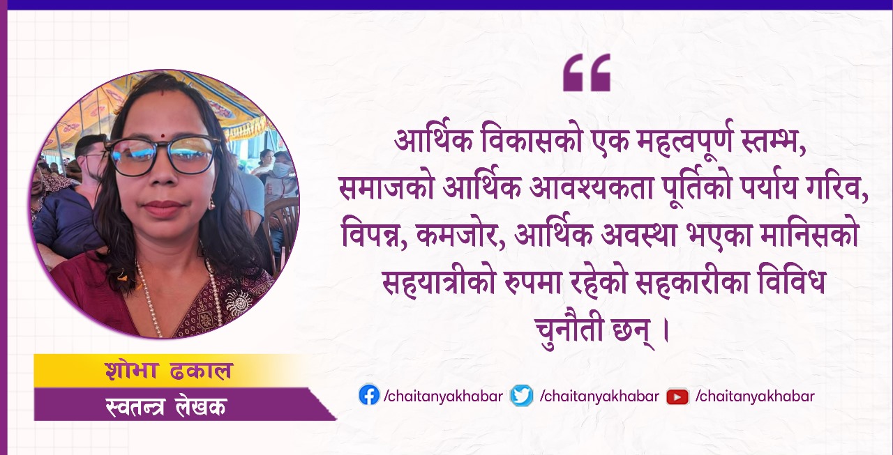 सहकारी आर्थिक विकासको प्रमुख स्तम्भ