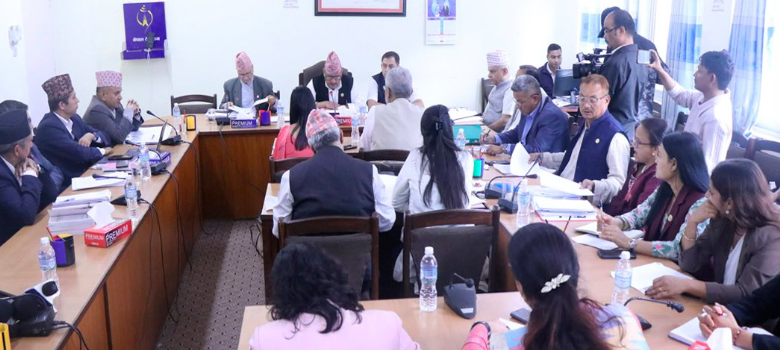 निजी विद्यालय ‘गैरनाफामूलक’ बनाउने विषयमा समिति सदस्यबिच मतभेद
