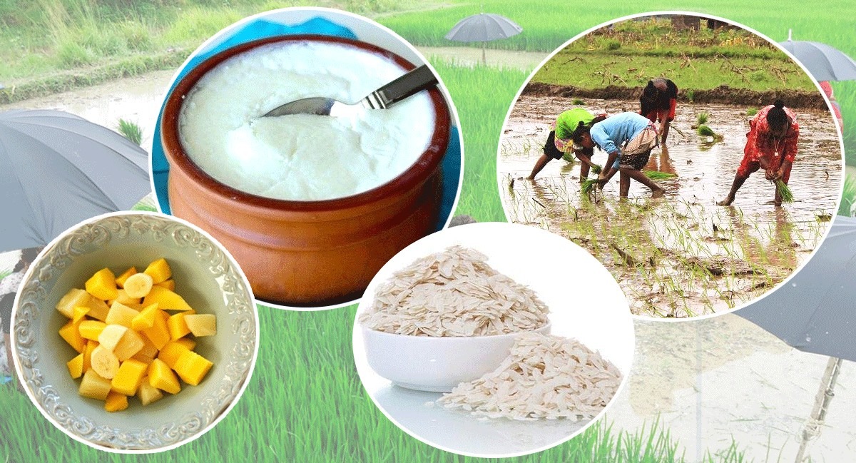 दही–चिउरा खाँदा स्वास्थ्यलाई के फाइदा हुन्छ ?