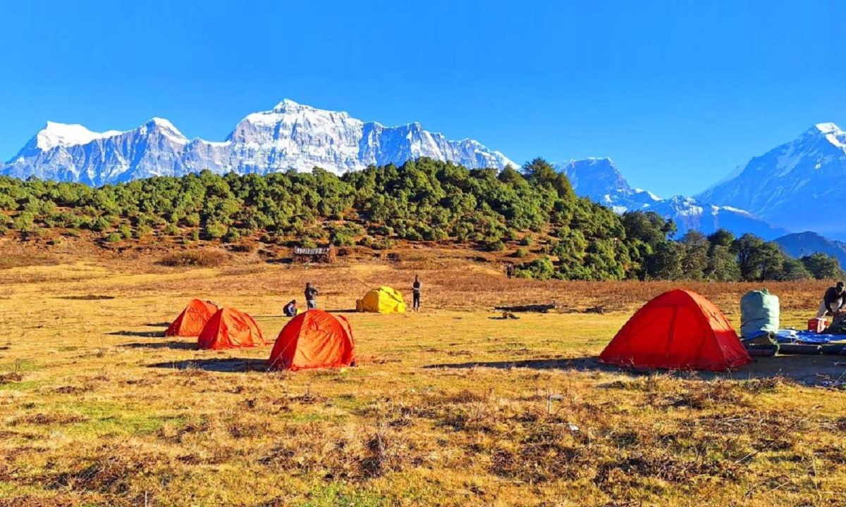 नेपालको एक मात्रै सिकार आरक्ष क्षेत्र ढोरपाटन एक वर्षमा पुगे २३ हजार पर्यटक