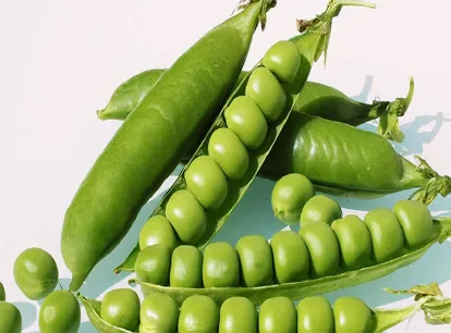 जाडोमा केराउ खानुका फाइदा