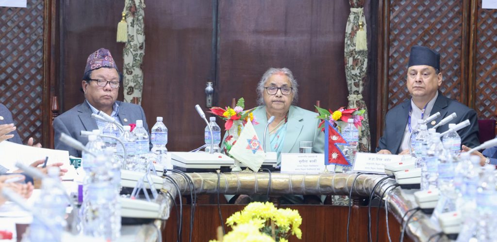 ‘एउटै प्रधानमन्त्रीले सारा डोकोभरीको भारी बोकेर हिँड्न सक्दैन : प्रधानमन्त्री कार्की