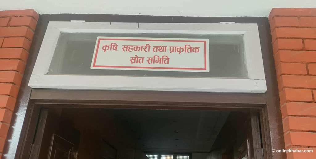राष्ट्रिय सभा बैठकका लागि ३० लाखमा हल व्यवस्थापन गरिंदै