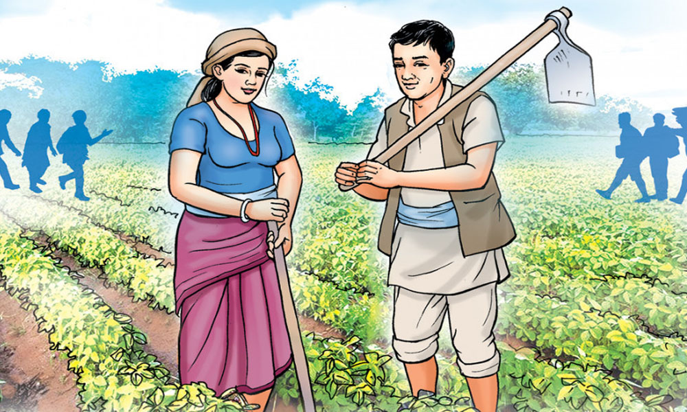 वन्यजन्तु पीडित किसानलाई ३८ लाख ६२ हजार राहत