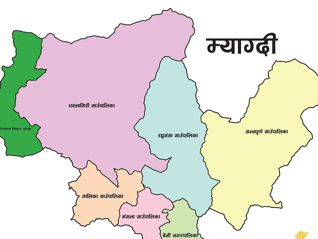 युवा मतदाता भिड्दै भन्छन्ः शासन, विकास र रोजगारीमार्फत भविष्य निर्माणको संकल्प भएका उम्मेदवार भोट दिन्छौं