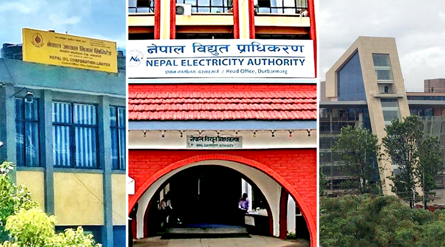 नेपालमा ४५ सार्वजनिक संस्थानमध्ये २७ नाफामा, १६ नोक्सानीमा