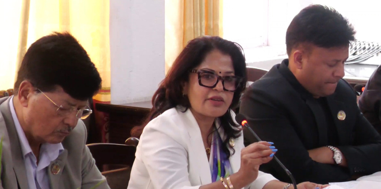 ‘राष्ट्रिय गौरवका आयोजनाहरू समयमै सम्पन्न नहुँदा राज्यलाई ठूलो आर्थिक भार’: सांसद आचार्य