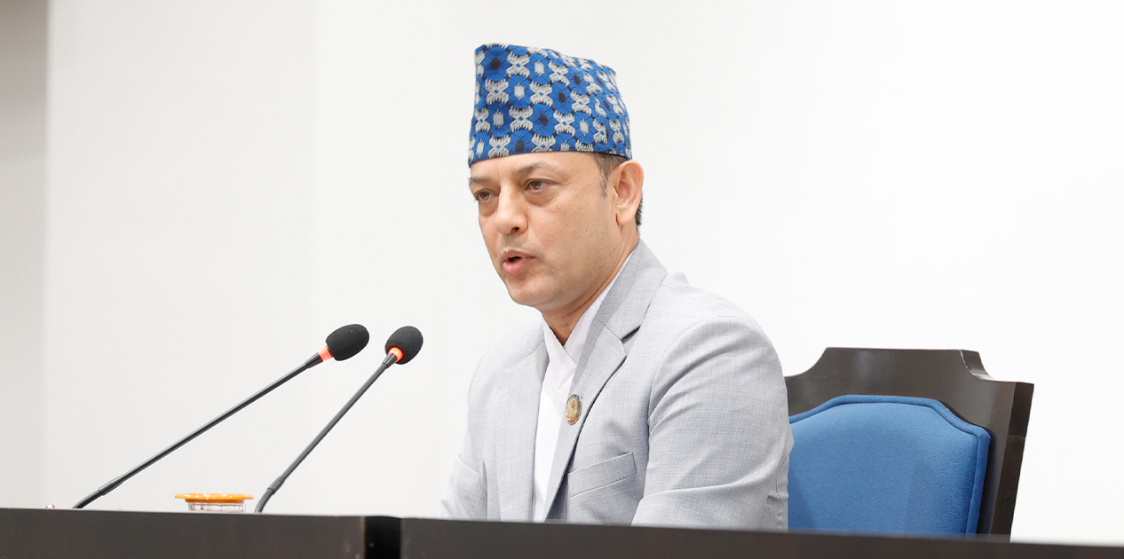 राहदानी विधेयक प्रतिनिधि सभाको कार्यसूचीबाट हट्यो