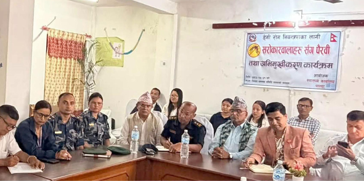 दुई महिनामै २५५ संक्रमित, पाल्पामा डेंगुको जोखिम बढ्दै