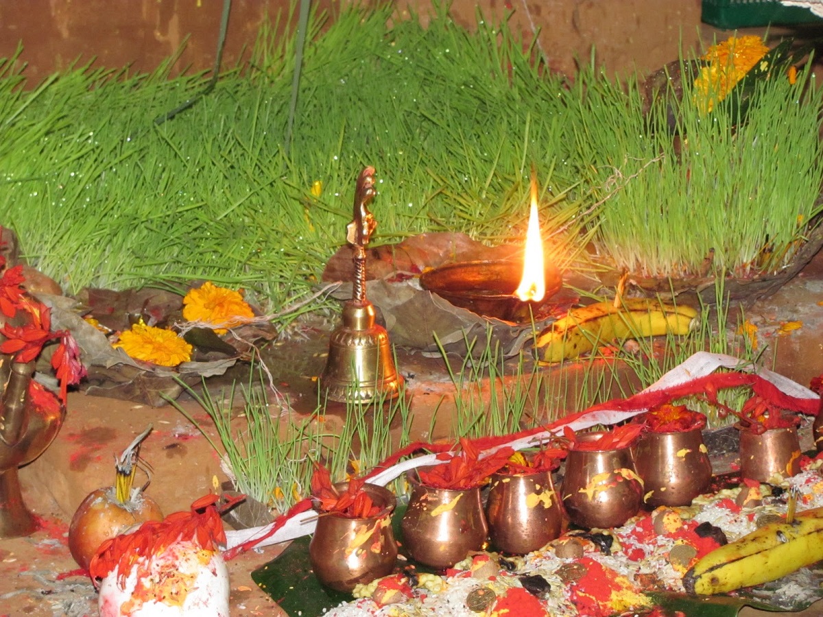 दसैँको फूलपाती आज, घरघर र शक्तिपीठमा नवपत्रिका भित्र्याइँदै